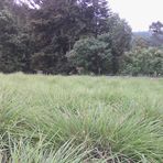 South Ari wereda Livestock and Fish resource office - Facebook