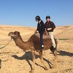 Ari Greenberg - @greenberg.ari - Instagram