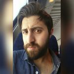 Ari Greenberg - @aricool1 - Instagram