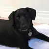 Ari Korn - @arikorn13 - TikTok