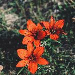Ari - @ari_____rogers.84d._ - Instagram