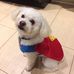Ari Silverman - Facebook