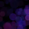 ARIwise8 - @ariwise8 - TikTok
