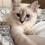 Aria - @aria_arnoldson - Instagram