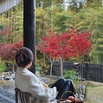 Aria Chen - @lazychen__ - Instagram