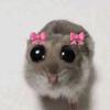 Ariana W. - @ariana_whitlock - TikTok