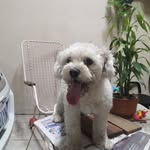 Ariana Crespo - @crespo3236 - Instagram