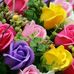 Arianna Di Stefano - Facebook