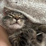Ariana Lane - Facebook
