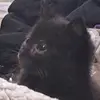 Ariana Wilson - @ariana.wilson79 - TikTok
