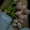 Ariana Wilson - @ariana.wilson5 - TikTok