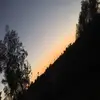 arianayoung - @arianayoung - TikTok
