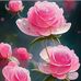 Ariane Lowe - Facebook