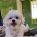 Ariane Arianna - Facebook