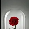 Ariane Manuel Manuel - @arianemanuelmanuel - TikTok
