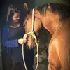 Ariane Mello - @arianemello95 - TikTok