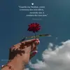ARIANE ROCHA - @arianerocha570 - TikTok