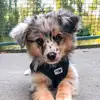 arianeroy910 - @arianeroy910 - TikTok