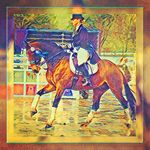 Ariane Wester-Ebbinghaus - @arianewesterebbinghaus - Instagram