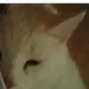 Ariane wirth - @arimaus2002 - TikTok