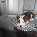 Areianna Bender - Facebook