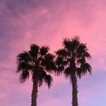 arianna1434 - @arianna._blake - Instagram