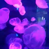 Arianna carson - @arianna.carson5 - TikTok