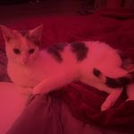 𝓐𝓻𝓲🐈 - @ariannacherry01 - Instagram