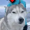 Arianna Clark - @woofinscoofin - TikTok