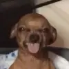 Arianna - @ariannadeleon23 - TikTok