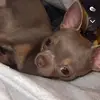 Ariannadolanxo - @ariannadolanxo - TikTok