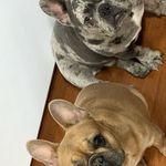 Arianna Ferrer - @arianna.ferrer.3958 - Instagram