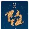 Arianna Freeman - @aritaf.17 - TikTok