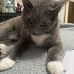 Ari - @arianna_hoffman33 - Instagram