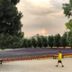 Eric Lin - @aric_lin - Instagram