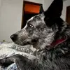 Eric Nunn - @ericnunn - TikTok