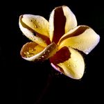 Aric Olson - @aric_olson_photography - Instagram