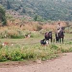 Ariel Alberto Muñoz Soto - @arielalbertomunozsoto - Instagram