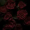 arielasher17 - @cantsayihave - TikTok