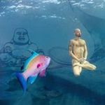 Ariel Becker - @organic__movement - Instagram