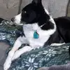 Ariel Becker - @ariel.becker26 - TikTok