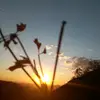 Ariel Berrios121 - @arielberrios25 - TikTok