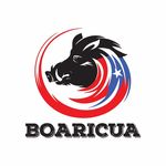 Chef Ariel Berrios - @boaricuafoodtruck - Instagram