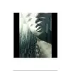 ariel carter - @arielcarter2 - TikTok