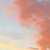 arielle_chester - @arielle_chester - TikTok