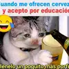arielorckociprian - @hola_1831 - TikTok