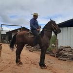 Ariel Gallardo Medina - @arielgallardomedina - Instagram