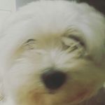 ariel_gross - @ariel_gross1 - Instagram