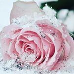 ariella mahaney - @ariellamahaney - Instagram