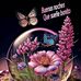 Ariel Her - Facebook